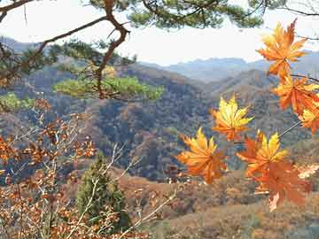 北京上市公司数量探讨，揭秘首都上市公司的数量与影响力