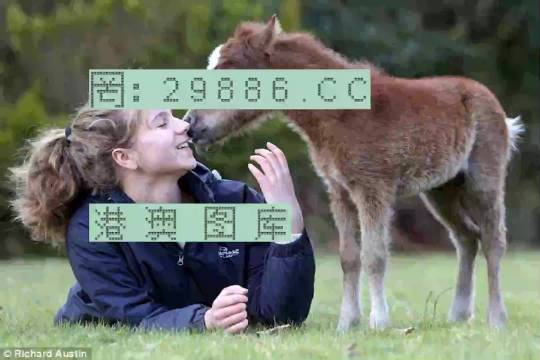 澳门平特一肖100%准确吗,实地验证研究方案_SNP77.978携带版