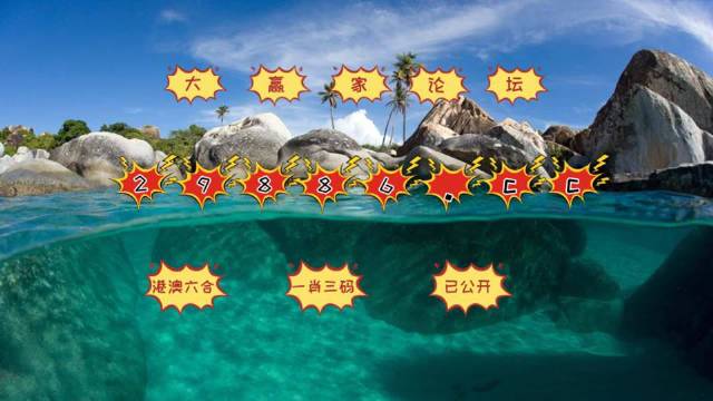 2024澳门天天开好彩大全第65期,实地应用实践解读_TEO77.660界面版
