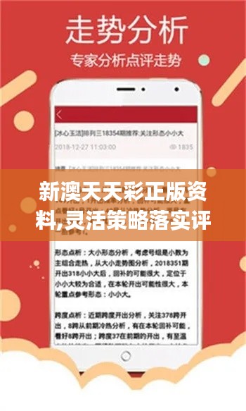 新澳好彩免费资料查询小龙女,执行验证计划_LHQ77.181触感版