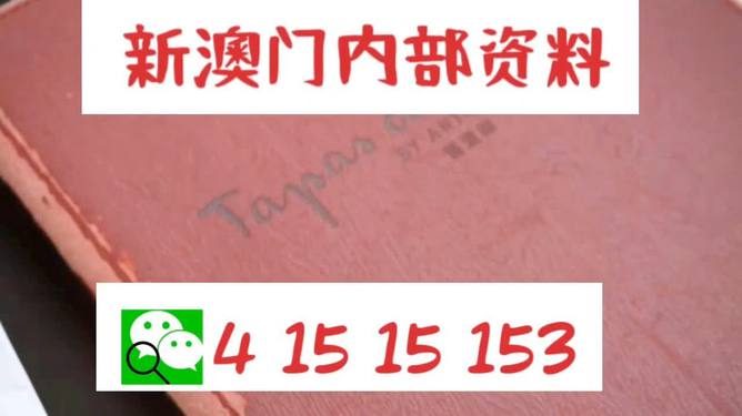 新澳门内部免费资料精准大全,稳健设计策略_IZM57.276护眼版