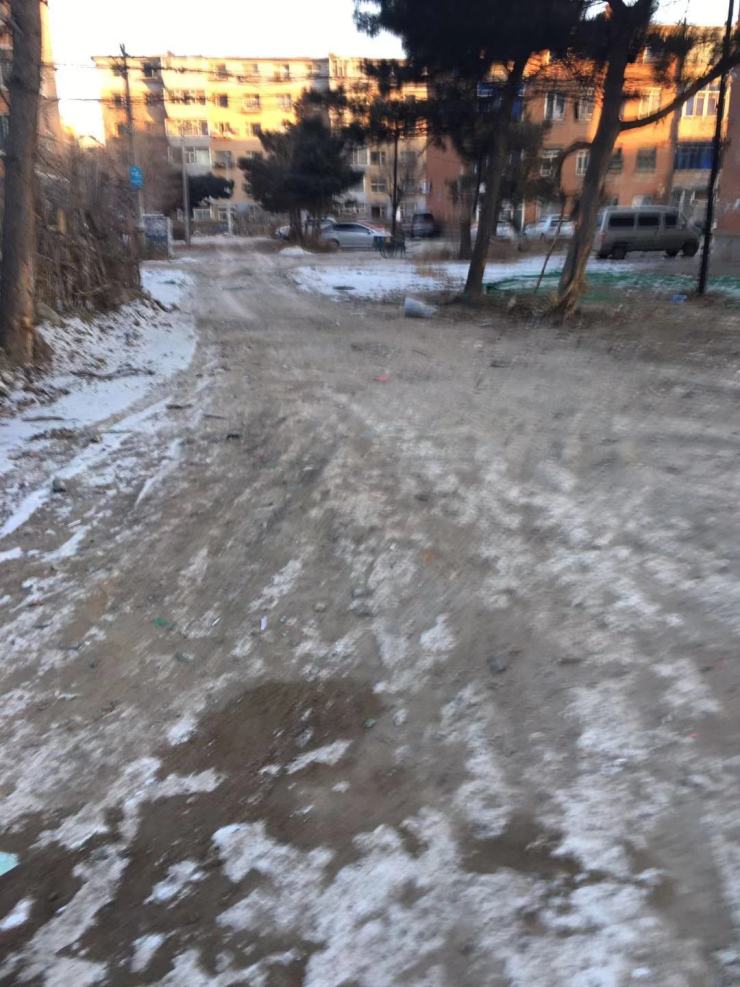 长春振翔15峯最新动态揭秘，探寻自然美景的最新旅程