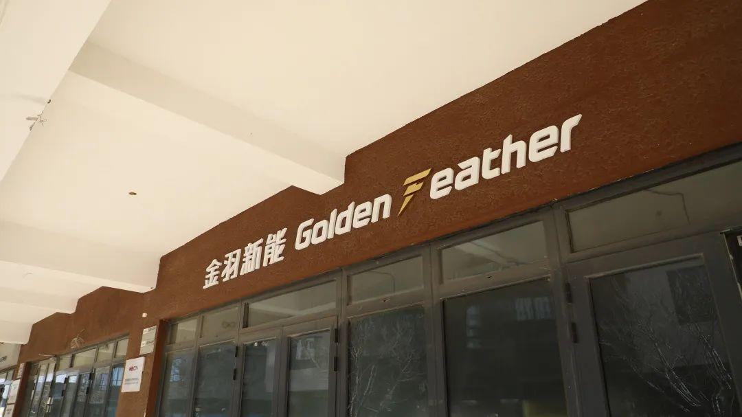 时代新材股价动态，与自然美景的旅行对话之旅