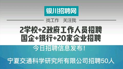 山东东平最新招聘信息发布，小巷美食探秘与职业机会同步开启！