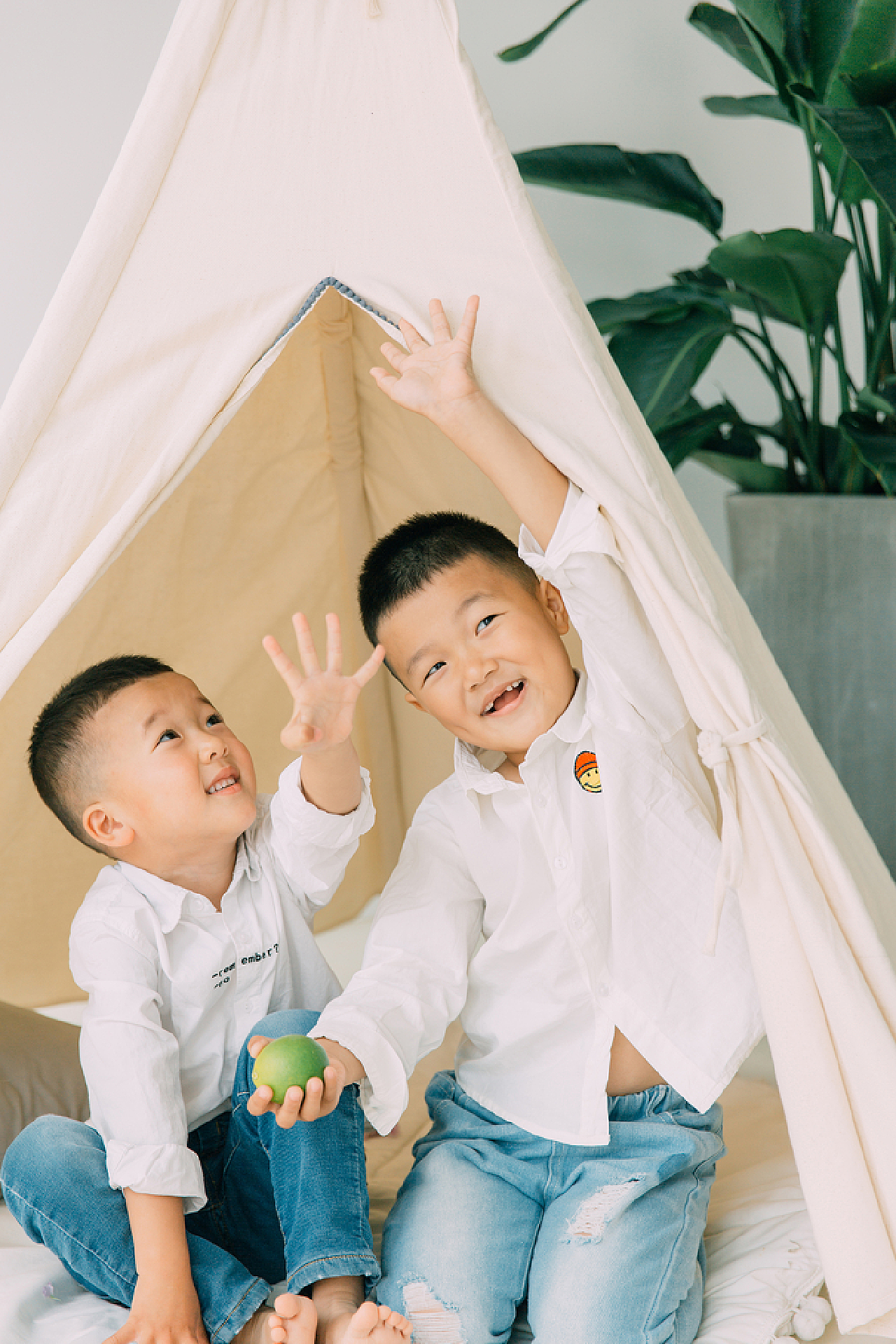 现代家庭二宝现象深度解析，二宝资讯探索