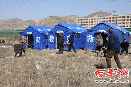 子洲最新闻，自然美景探索之旅的心灵宁静之旅