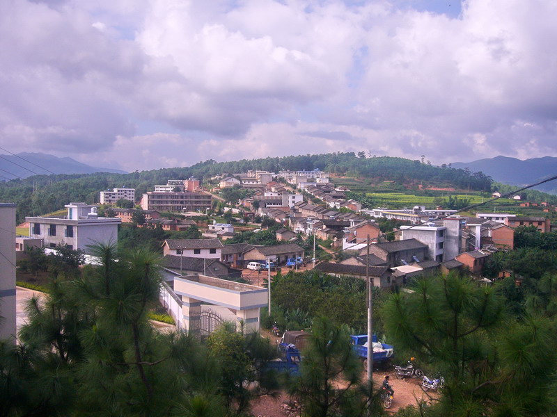 特色小店探索之旅，最新村镇小巷的惊喜发现