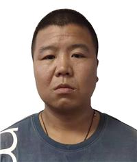 绥化最新公告，城市发展与民生改善迈入新篇章