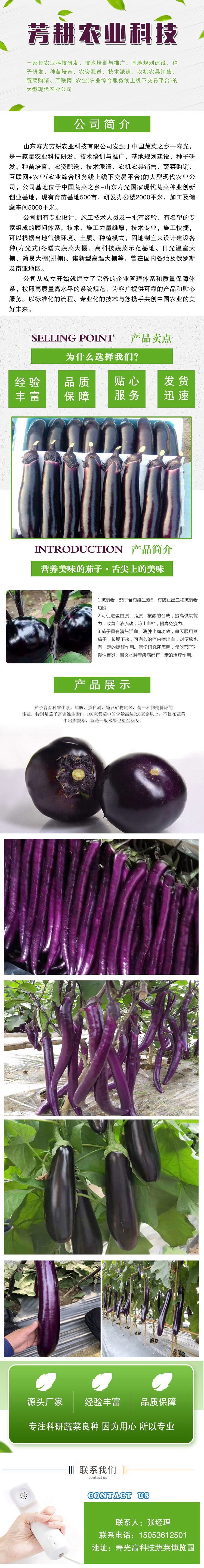 最新茄子良种选择与种植指南，良种选择与种植技术全解析