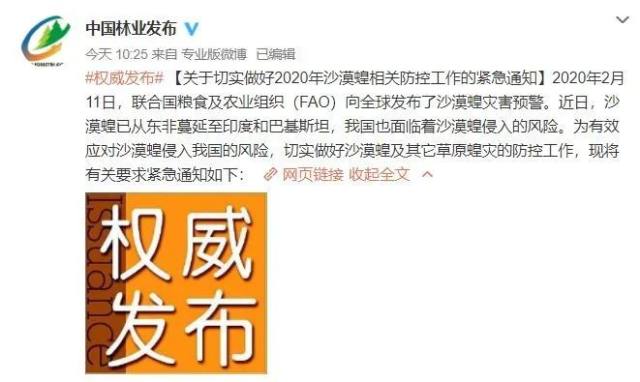 蝗虫最新动态，绿色探险之旅，寻求内心平静之路